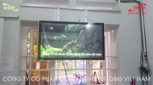D&Q Cung cấp lô 15 màn hình quảng cáo treo tường 43 inch | Các Chi nhánh SKYPEC - BIMGROUP