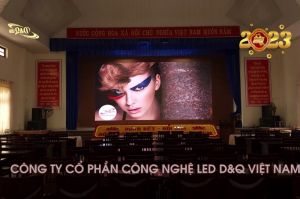 UBND huyện Cát Tiên - Lâm Đồng | Thi Công Màn Hình LED P2 Trong Phòng Hội Trường | LED D&Q.