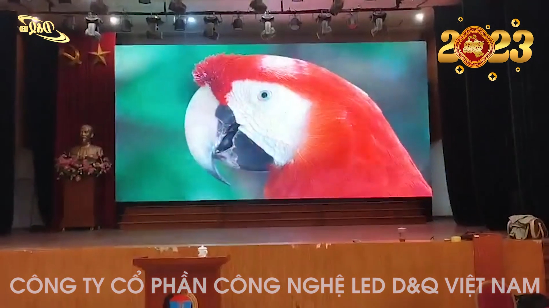 màn hình LED bệnh viện — D&Q VietNam