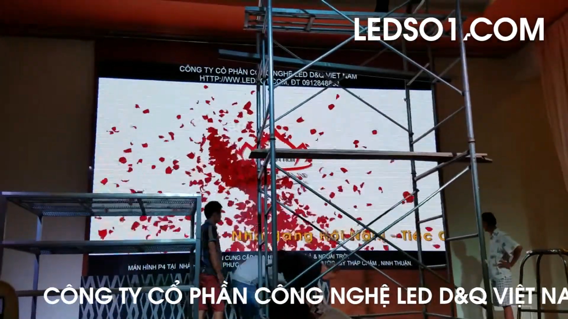 màn hình LED nhà hàng — D&Q VietNam