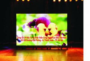 cabin led fullcolor 281 000 ty mau p475mm hien thi hinh anh video trong nha 1