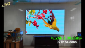 Tập đoàn Xuân Thiện Ninh Bình | DQ thi công gói thầu dự án Cabin LED GOB P1.66 tại nhà máy Thép Xanh