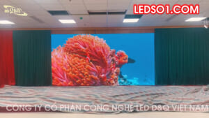 (Agribank tỉnh Hòa Bình) Thi công gói thầu màn hình LED GOB P2 Phòng Họp chi nhánh bảng 3