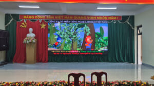 Lưu nháp tự động