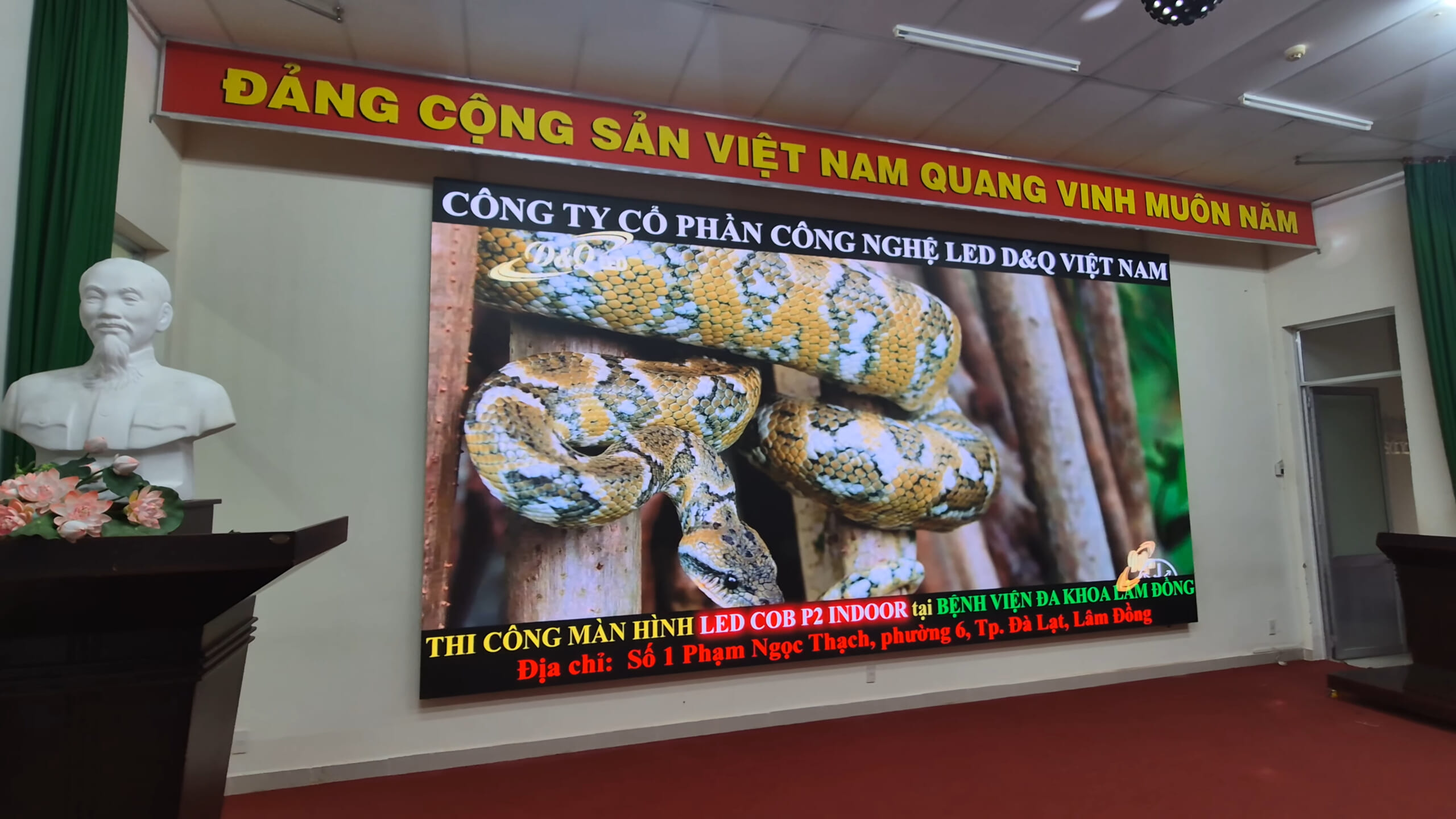 Bệnh Viện Đa Khoa Tỉnh Lâm Đồng | D&Q thi công gói thầu dự án màn hình LED COB P2 phòng Hội trường