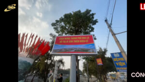 Sở Giao Thông Vận Tải Ninh Bình | D&Q thi công dự án màn hình LED P3 Out Tuyên truyền Giao thông