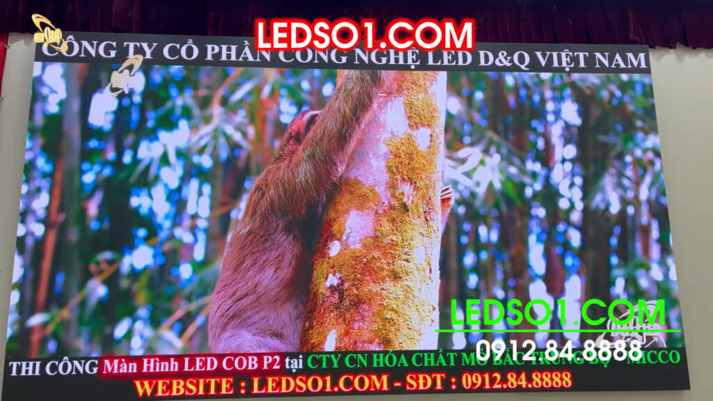 Công ty Hoá chất Mỏ MICCO – Vinacomin Tam Điệp | DQ lắp đặt dự án thầu màn hình LED GOB P2 phòng họp