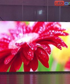 Màn hình LED P1.923 Trong Nhà: Giải Pháp Hiển Thị Sắc Nét Hàng Đầu 2026 - LED D&Q