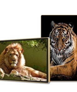 Màn Hình Quảng Cáo Châu Âu 49 Inch: Giải Pháp Smart Signage Hiệu Quả 2026 | LED D&Q Miền Bắc - LED D&Q