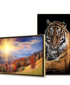 Màn Hình Quảng Cáo Châu Âu 55 Inch: Giải Pháp Hiển Thị Chuyên Nghiệp 2026 | LED D&Q Miền Bắc - LED D&Q