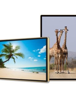 Màn hình quảng cáo Châu Âu 32 inch Smart Signage Display | LED D&Q Miền Bắc - LED D&Q