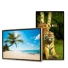 Màn hình quảng cáo Châu Âu 43 inch Smart Signage Display | LED D&Q Miền Bắc - LED D&Q
