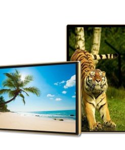 Màn hình quảng cáo Châu Âu 43 inch Smart Signage Display | LED D&Q Miền Bắc - LED D&Q