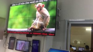 DQ cung cấp và lắp đặt màn hình LED ghép thương hiệu ThinkSTV Led: 49inch-55inch-65inch giá tốt nhất