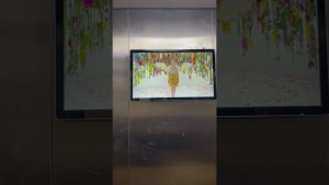✔ Led D&Q VietNam lcd thang may