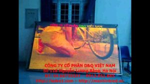 Thi công bảng điện tử LED tại sàn giao dịch việc làm